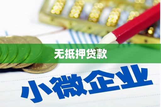 黟县无抵押贷款