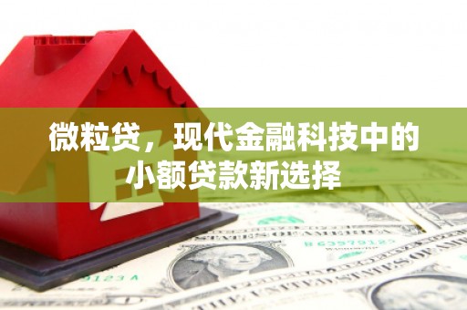 黟县微粒贷，现代金融科技中的小额贷款新选择