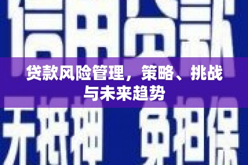黟县贷款风险管理，策略、挑战与未来趋势