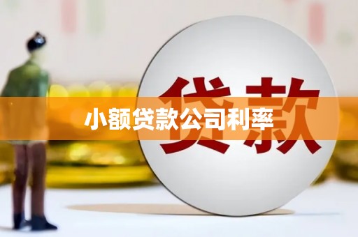 黟县小额贷款公司利率