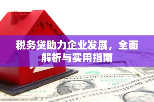黟县税务贷助力企业发展，全面解析与实用指南