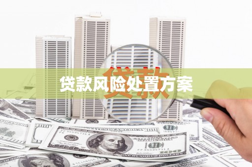 黟县贷款风险处置方案