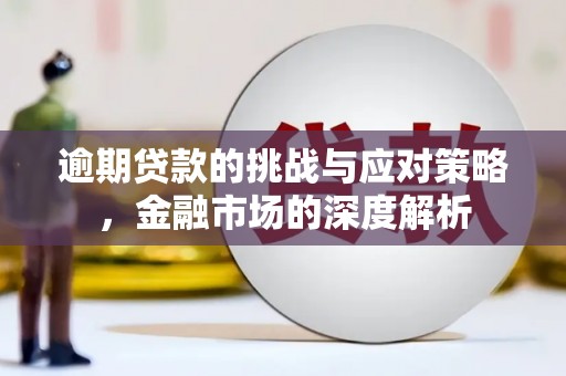 黟县逾期贷款的挑战与应对策略，金融市场的深度解析