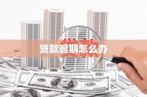 黟县贷款逾期怎么办