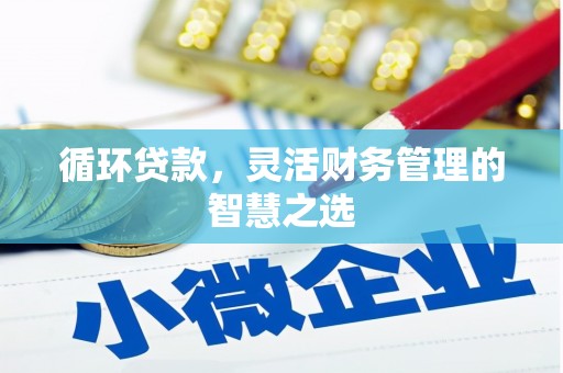 黟县循环贷款，灵活财务管理的智慧之选