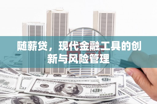 黟县随薪贷，现代金融工具的创新与风险管理