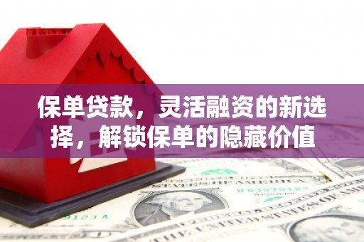 黟县保单贷款，灵活融资的新选择，解锁保单的隐藏价值