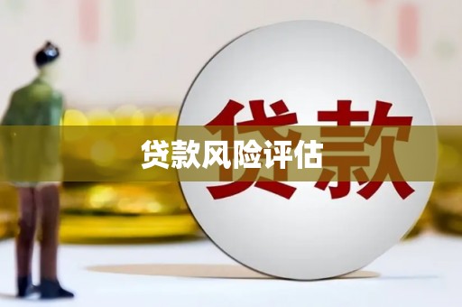 黟县贷款风险评估