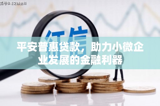黟县平安普惠贷款，助力小微企业发展的金融利器