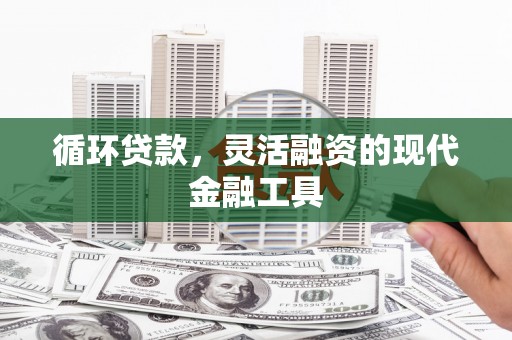 黟县循环贷款，灵活融资的现代金融工具