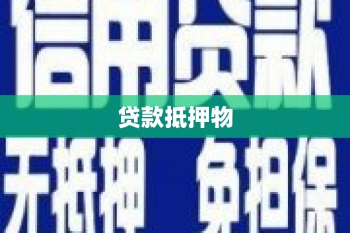 黟县贷款抵押物