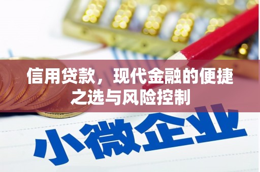 黟县信用贷款，现代金融的便捷之选与风险控制