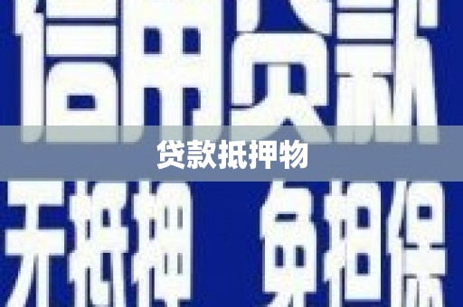 黟县贷款抵押物
