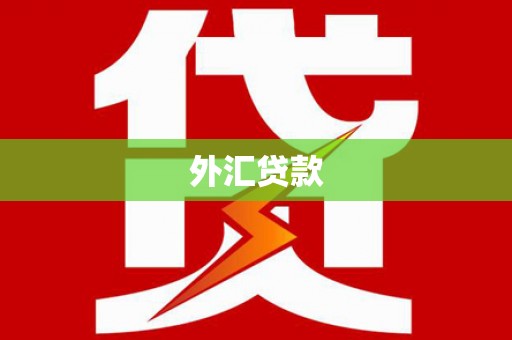 黟县外汇贷款