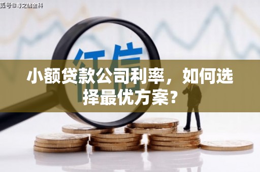 黟县小额贷款公司利率，如何选择最优方案？