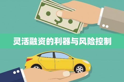 黟县灵活融资的利器与风险控制
