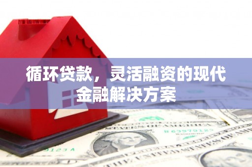 黟县循环贷款，灵活融资的现代金融解决方案