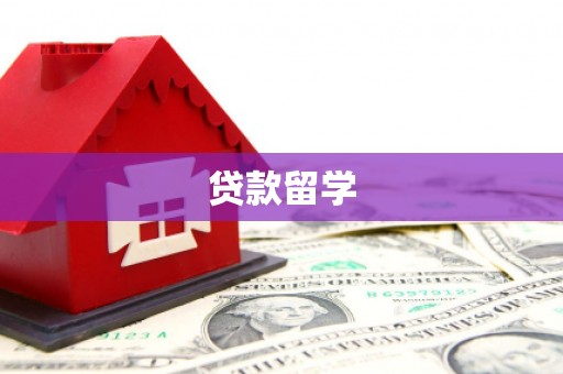黟县贷款留学