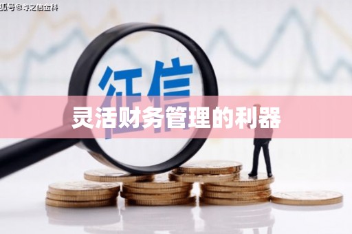 黟县灵活财务管理的利器