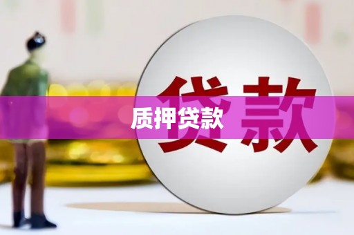 黟县质押贷款