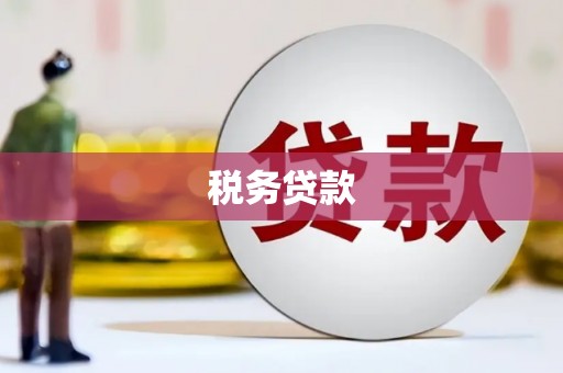 黟县税务贷款