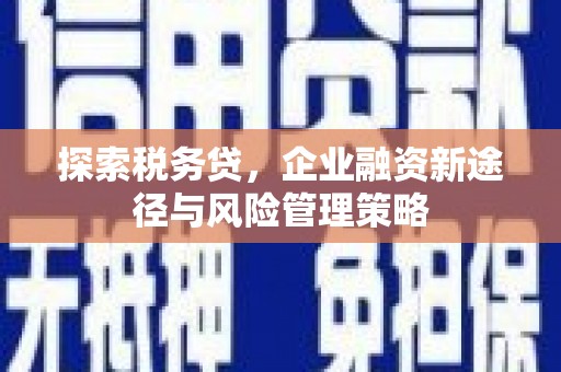 黟县探索税务贷，企业融资新途径与风险管理策略