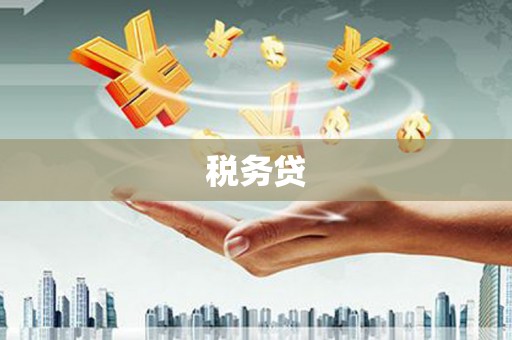 黟县税务贷
