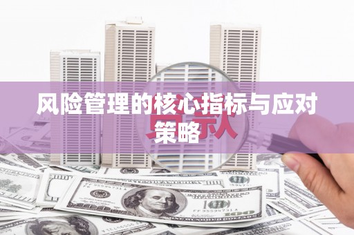 黟县风险管理的核心指标与应对策略
