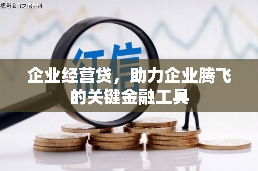 黟县企业经营贷，助力企业腾飞的关键金融工具