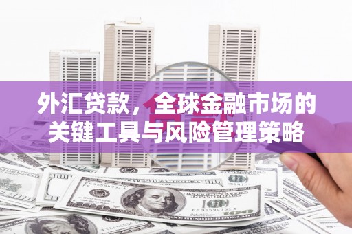 黟县外汇贷款，全球金融市场的关键工具与风险管理策略