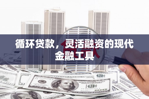 黟县循环贷款，灵活融资的现代金融工具