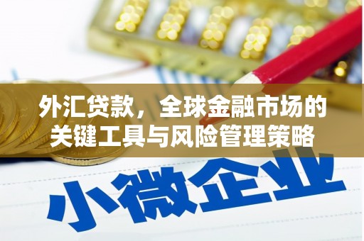 黟县外汇贷款，全球金融市场的关键工具与风险管理策略