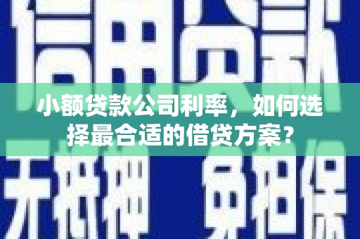 黟县小额贷款公司利率，如何选择最合适的借贷方案？