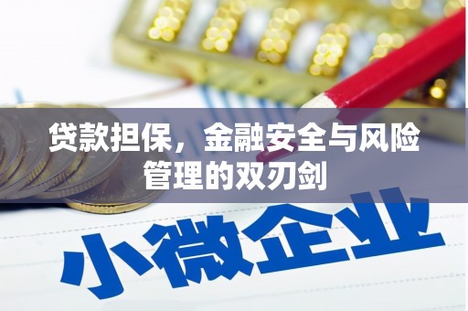 黟县贷款担保，金融安全与风险管理的双刃剑