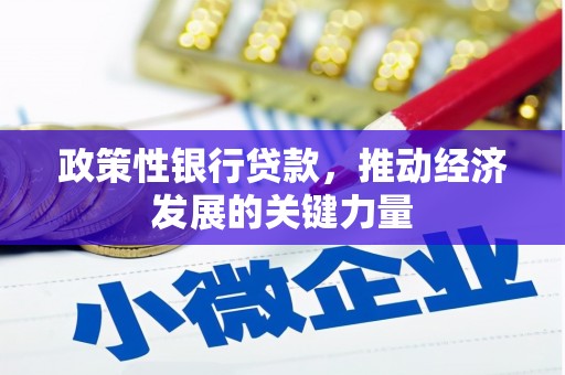 黟县政策性银行贷款，推动经济发展的关键力量