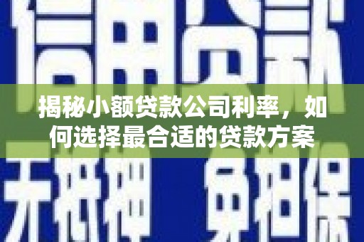 黟县揭秘小额贷款公司利率，如何选择最合适的贷款方案