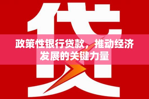 黟县政策性银行贷款，推动经济发展的关键力量