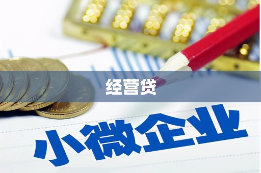 黟县经营贷