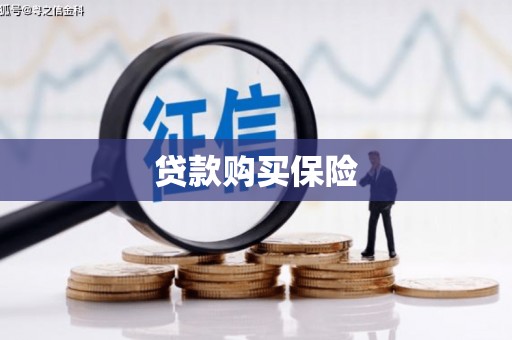 黟县贷款购买保险