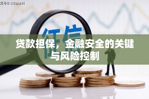 黟县贷款担保，金融安全的关键与风险控制