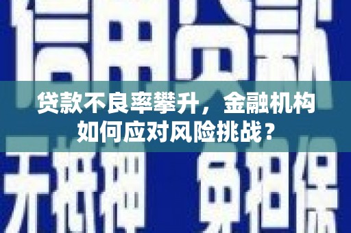 黟县贷款不良率攀升，金融机构如何应对风险挑战？