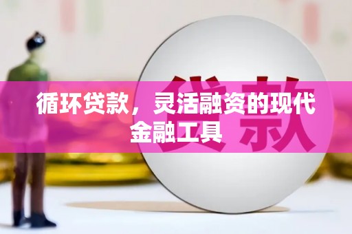 黟县循环贷款，灵活融资的现代金融工具