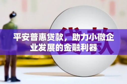 黟县平安普惠贷款，助力小微企业发展的金融利器