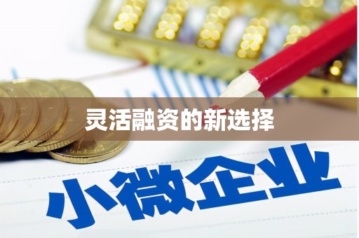 黟县灵活融资的新选择