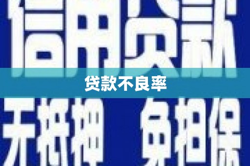 黟县贷款不良率