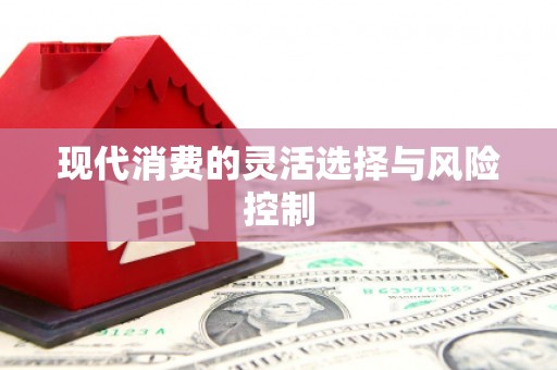 黟县现代消费的灵活选择与风险控制