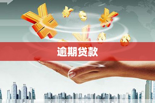 黟县逾期贷款
