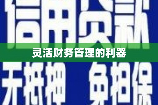 黟县灵活财务管理的利器
