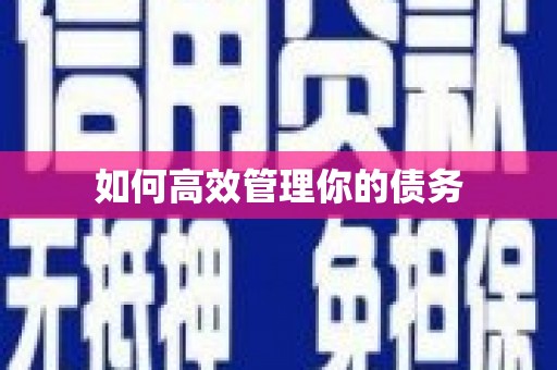 黟县如何高效管理你的债务