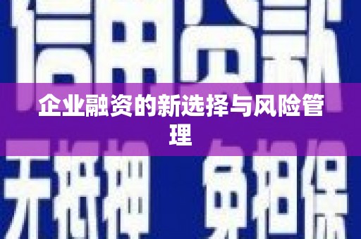 黟县企业融资的新选择与风险管理